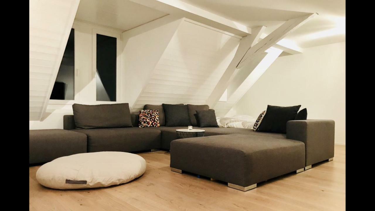 Luxury Penthouse Apartment Zurich Ngoại thất bức ảnh
